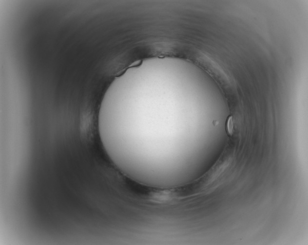 X0000101440079200807211221