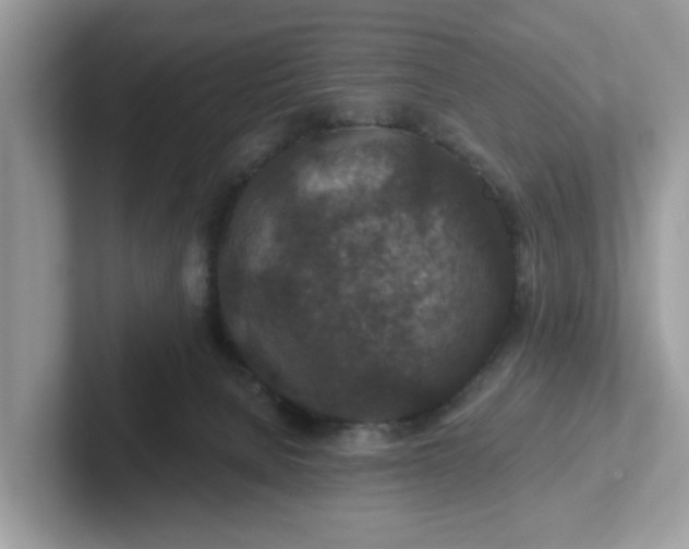 X0000101440080200807211221