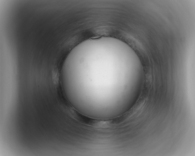 X0000101440081200807211221