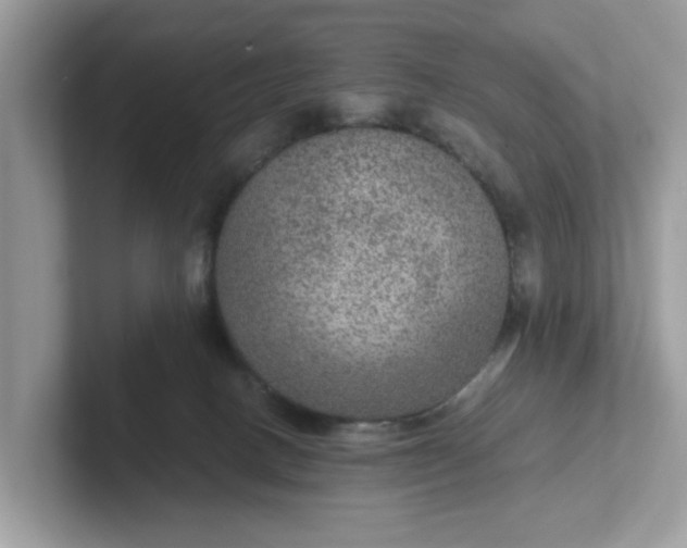 X0000101440082200807211221