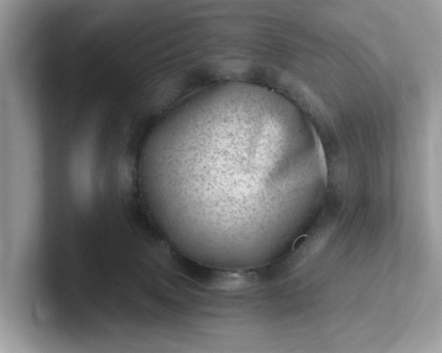 X0000101440083200807211222