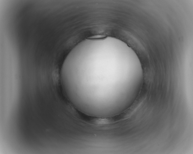 X0000101440085200807211222