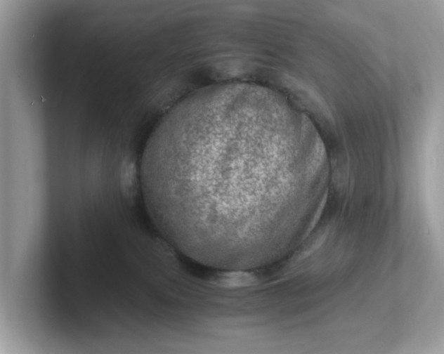 X0000101440087200807211222