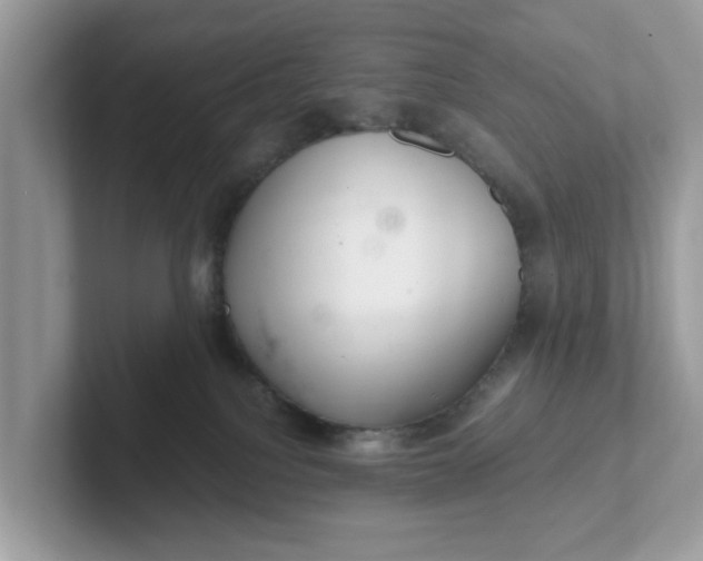 X0000101440088200807211222