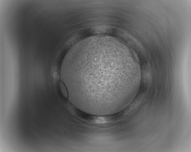 X0000101440091200807211222