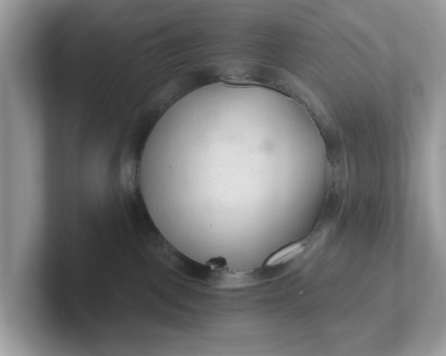 X0000101440093200807211222