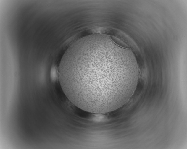 X0000101440095200807211222