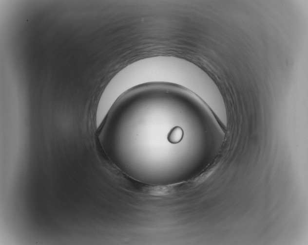 X0000101440096200807211222