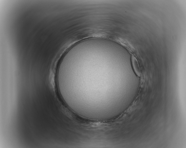 X0000101440098200807211221