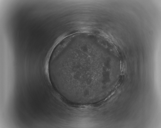 X0000101440099200807211221