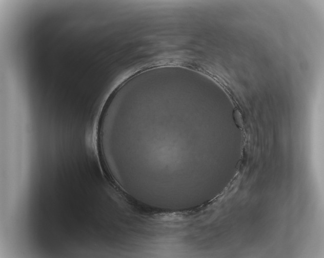 X0000101440100200807211221