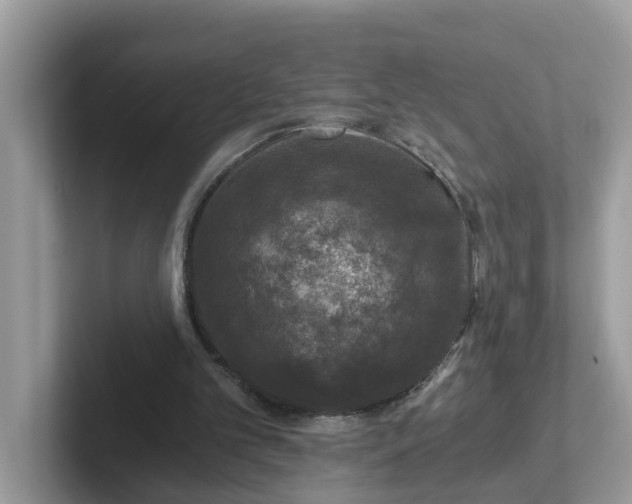 X0000101440101200807211221