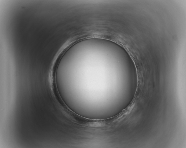 X0000101440102200807211221