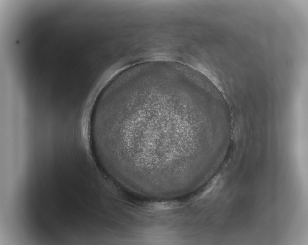 X0000101440103200807211221