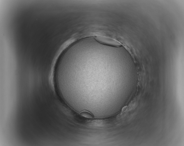 X0000101440104200807211221