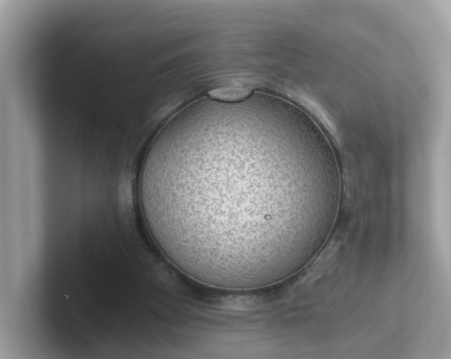 X0000101440105200807211221