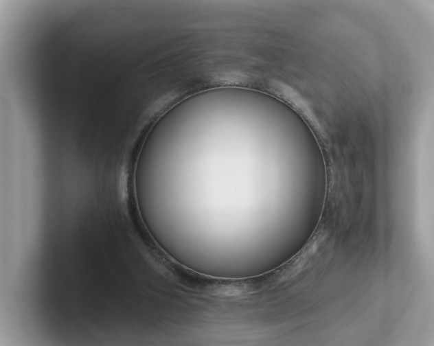 X0000101440106200807211221