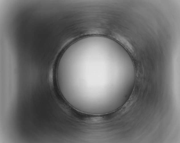 X0000101440108200807211221