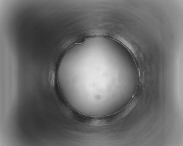 X0000101440109200807211221