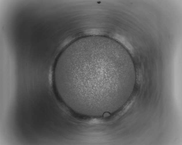 X0000101440111200807211221