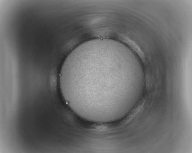 X0000101440113200807211221