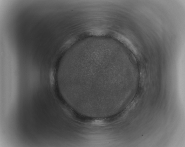 X0000101440114200807211221