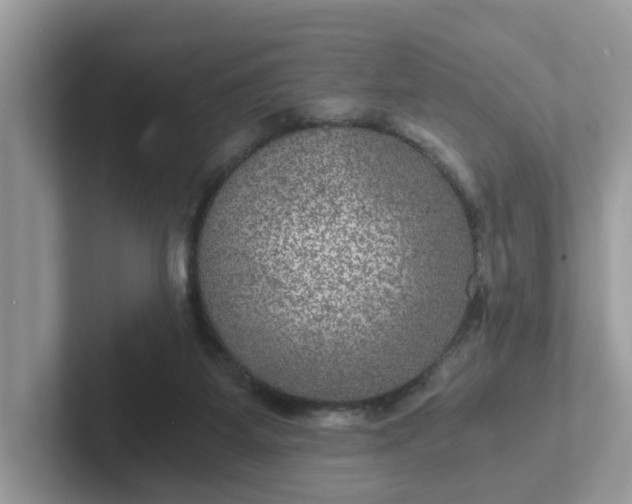 X0000101440115200807211221