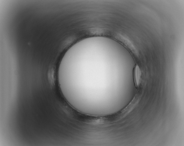 X0000101440116200807211221