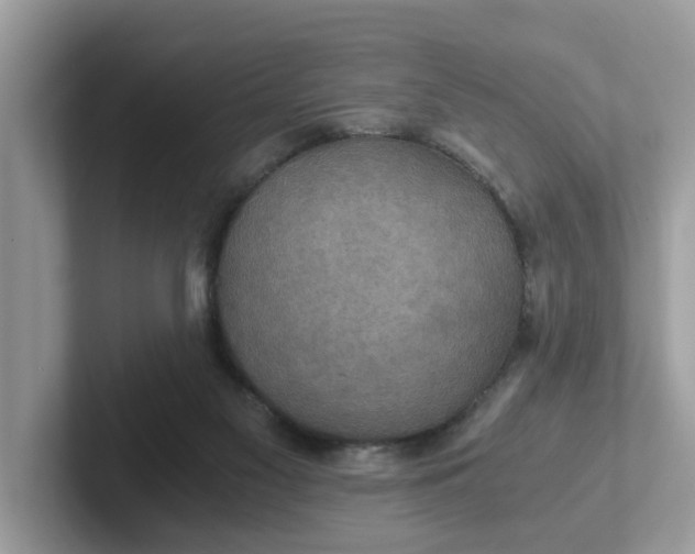 X0000101440117200807211221