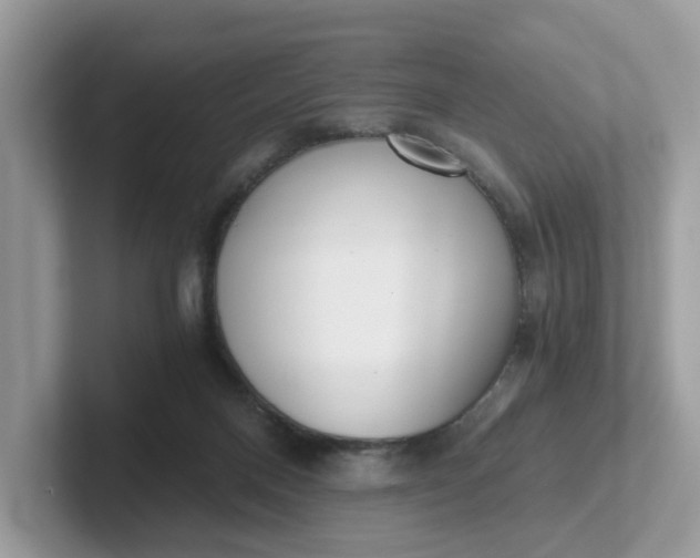 X0000101440120200807211221