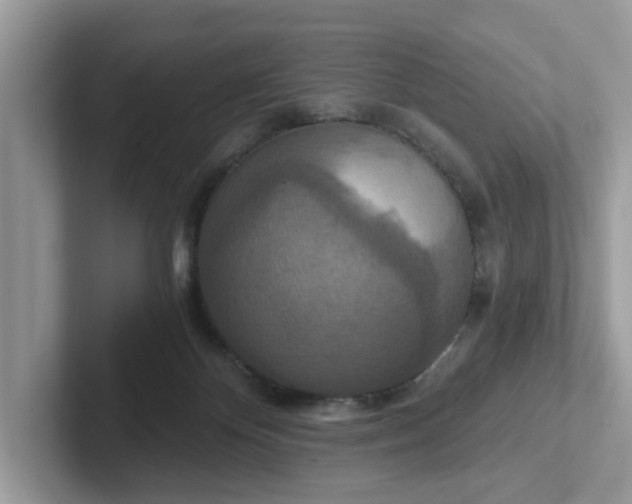 X0000101440124200807211221