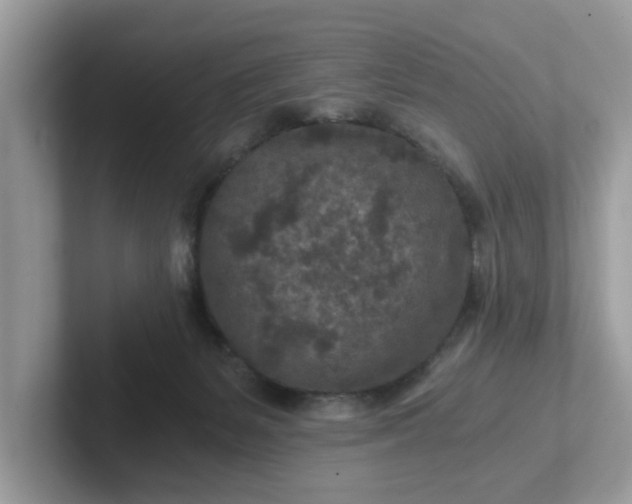 X0000101440127200807211221