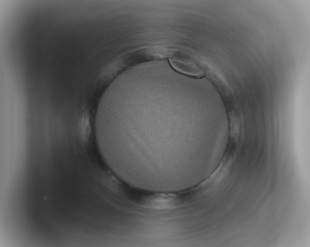 X0000101440128200807211221