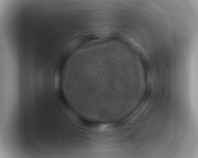 X0000101440130200807211221