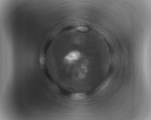 X0000101440137200807211220