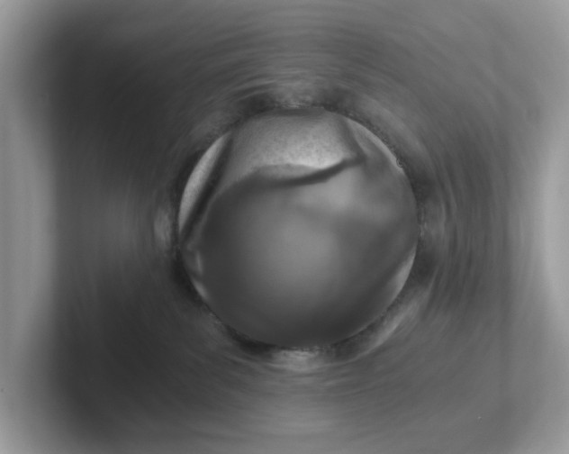 X0000101440139200807211220