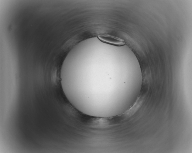 X0000101440140200807211220