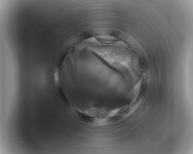 X0000101440143200807211220