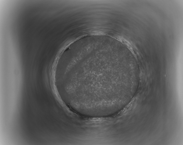 X0000101440145200807211220