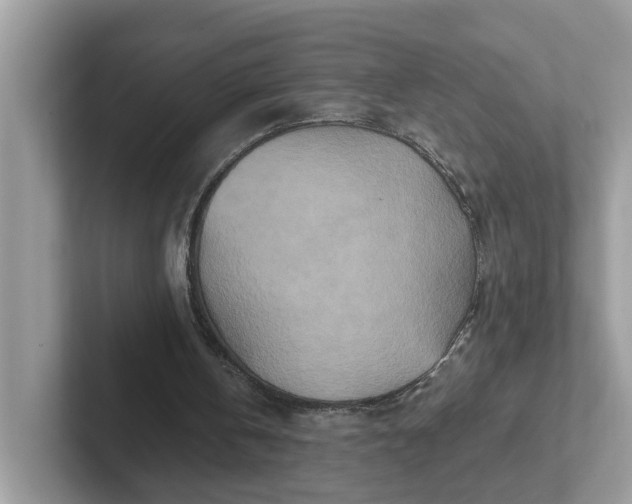 X0000101440146200807211220