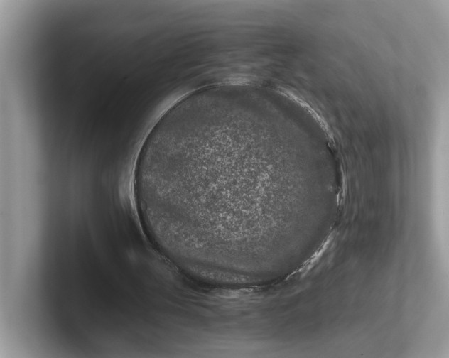 X0000101440147200807211220