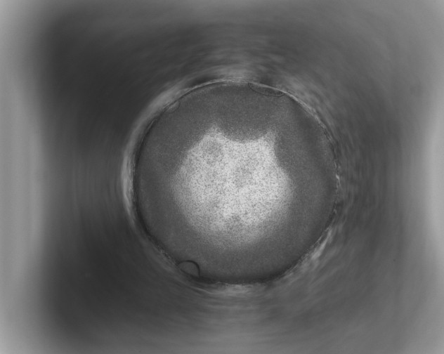 X0000101440149200807211220