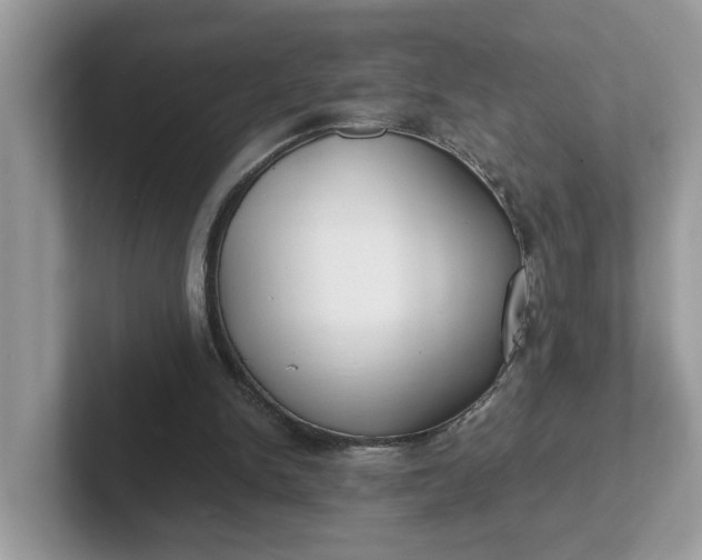 X0000101440150200807211220