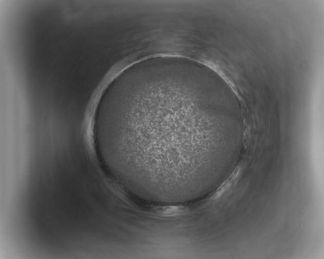 X0000101440151200807211220