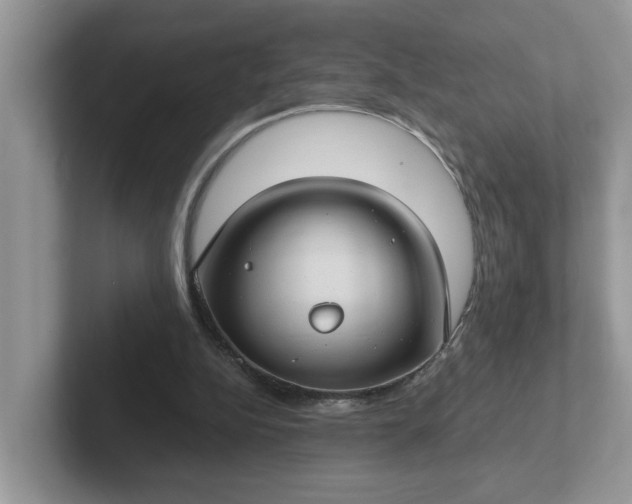 X0000101440152200807211220