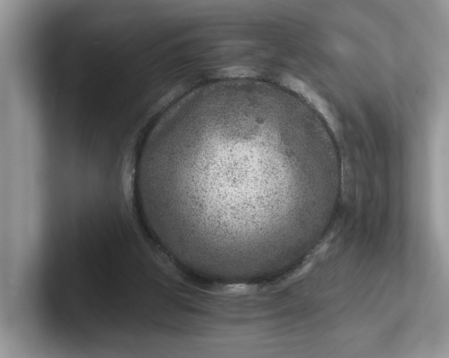 X0000101440153200807211220