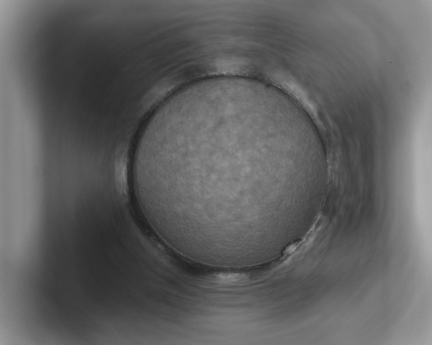 X0000101440154200807211220