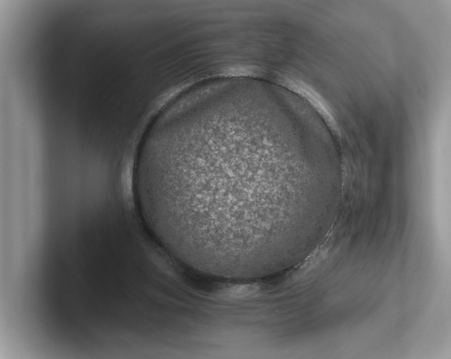 X0000101440155200807211220