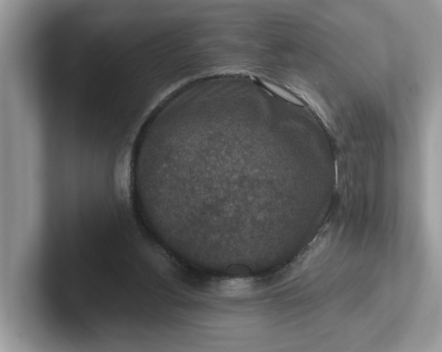 X0000101440156200807211220