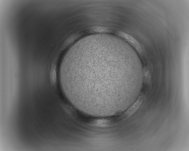 X0000101440158200807211220